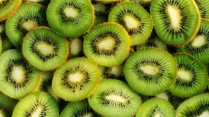 ORTOFRUTTA, VERNOCCHI (ALLEANZA COOPERATIVE): SVENTATO IL RISCHIO DI BLOCCO EXPORT KIWI IN CANADA, URGENTE RECUPERO ANCHE SUL SUSINO